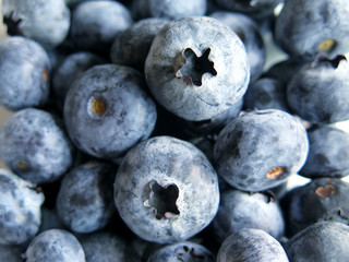Fresh Ripe Blueberries