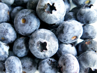 Fresh Ripe Blueberries