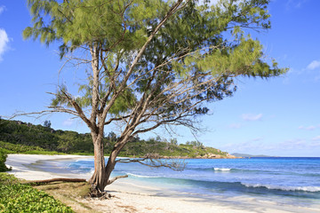 Fototapeta na wymiar Beautiful beach Anse Cocos.