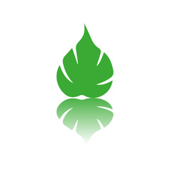 green leaves icon