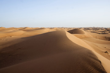 Fototapeta na wymiar Dubai desert with beautiful sandunes