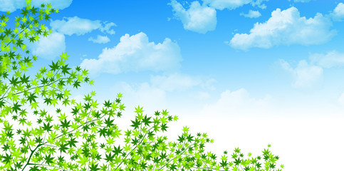 葉　もみじ　背景
