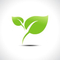 Green leaf icon vector