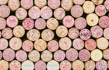 Obraz na płótnie Canvas Close up of a cork wine