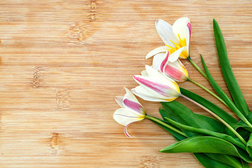 Bouquet of tulips on wooden board. Easter decoration