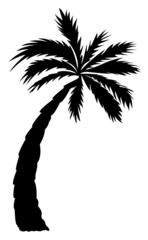 Palm Tree Shape