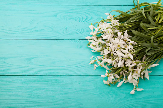Flowers on blue wooden background