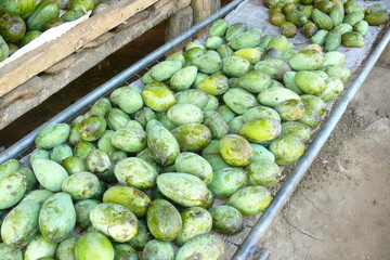 Mango Fruit shop in Sri Lanka