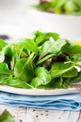 Fresh green salad