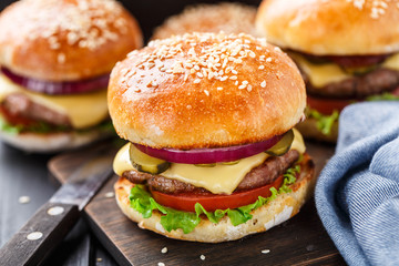 Delicious burger on wooden board