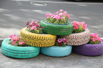 Flower bed flower of tires