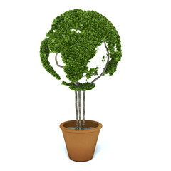 Naklejka na ściany i meble Pot plant shaped like a world map. Ecology and green lifestyle c