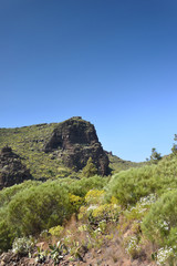 montagne au printemps