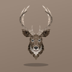 Animal Portrait With Polygonal Design. Deer