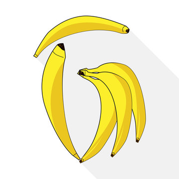 Bunch of bananas isolated on white. Letter of babanas.Vector