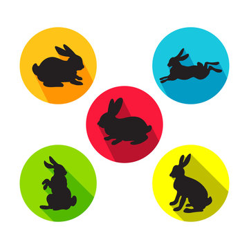 Set of rabbits in different positions. Vector illustration in