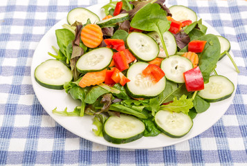 Fresh Salad with Cucumber and Red Bell Pepper