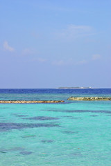 モルディブの海
