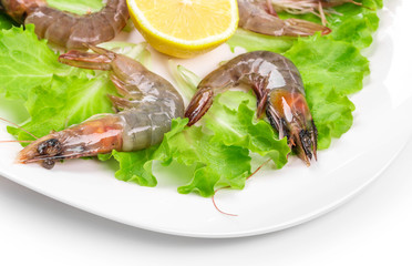 Raw shrimps with lettuce and lemon.