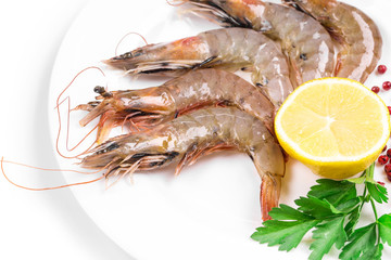 Raw tiger shrimps on plate.