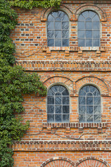 Alte Klinker-Hausfassade mit Bewuchs