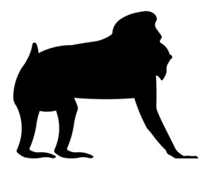 Mandrill Silhouette