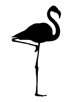 Flamingo Silhouette
