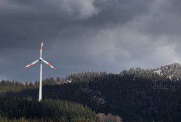 wind power mill over forest