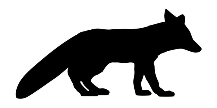 Fuchs Silhouette