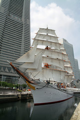 Fototapeta na wymiar 日本丸の総帆展帆