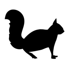 Eichhörnchen Silhouette