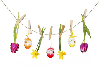 Ostereier, Tulpen und Narzissen, hängend, isoliert