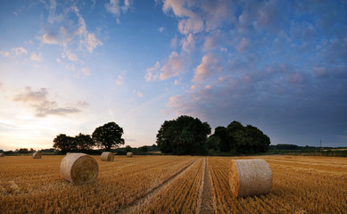 Fototapeta premium Stunning Summer sunset landscape over feild of hay bales