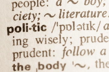 Dictionary definition of word politic