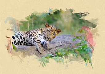 Foto op Canvas Leopard on textured paper. Brush effect © byrdyak