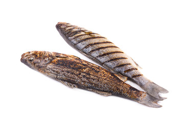 Two grilled fish on white.