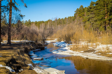 весенний лес на берегу реки, Урал, Россия