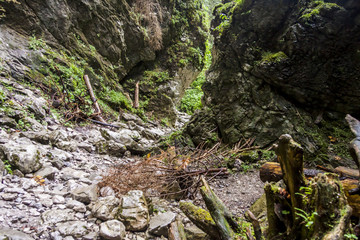 Ravine Cracow - Tatra National Park, Poland.