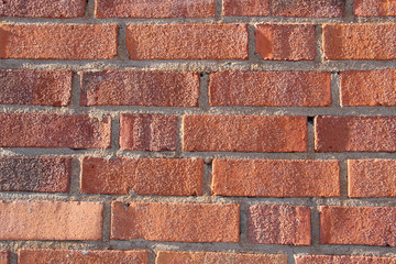 Closeup brick wall in sunlight