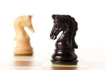 Confrontation - white and black chess knights standing  © lusia83