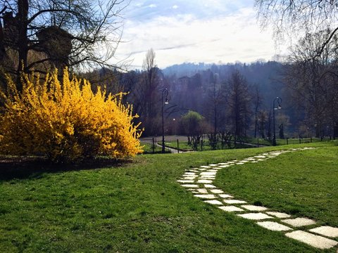 parco cittadino