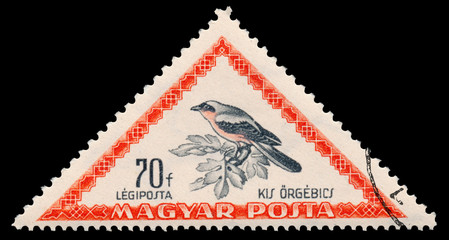 Stamp printed in Hungary shows lesser grey shrike