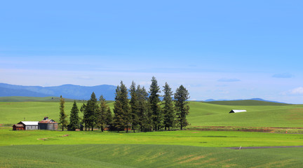 Fototapeta na wymiar Farm landscape