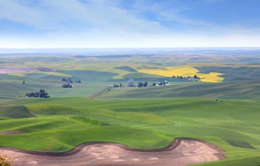 Palouse landscape