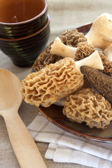 Fresh morel mushrooms on a plate