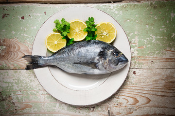 Fresh fish (Sparus aurata) 