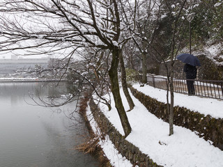 Fototapete bei efototapeten.de bestellen   