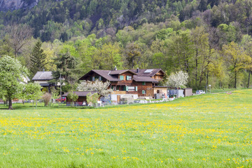 Farmland - Switzerland.