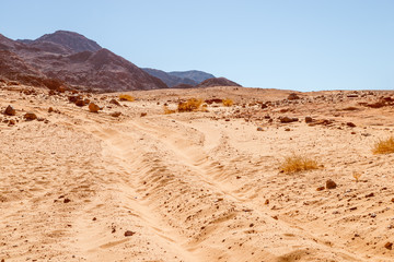 Way on desert. Sinai,  Egypt.