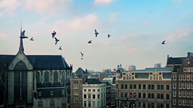 Cityscape With Church Bells And Birds